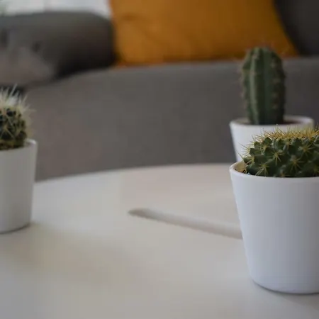 Apartamento La Pineda *
